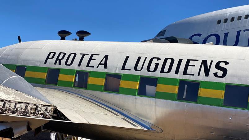 Close-up of a plane with a blue sky with Big Banana in the background

Description automatically generated